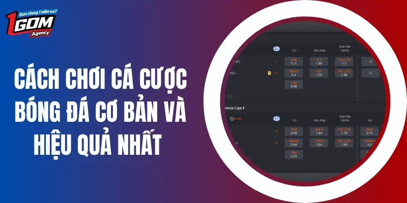 Cách Chơi Cá Cược Bóng Đá Cơ Bản Và Hiệu Quả Nhất