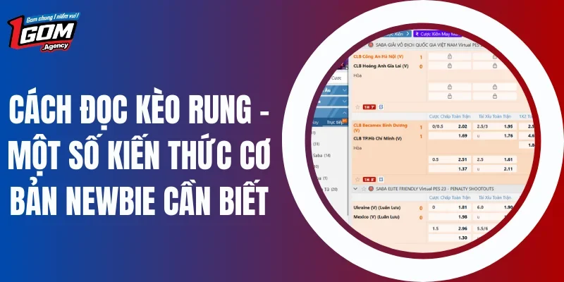 Cách Đọc Kèo Rung - Một Số Kiến Thức Cơ Bản Newbie Cần Biết