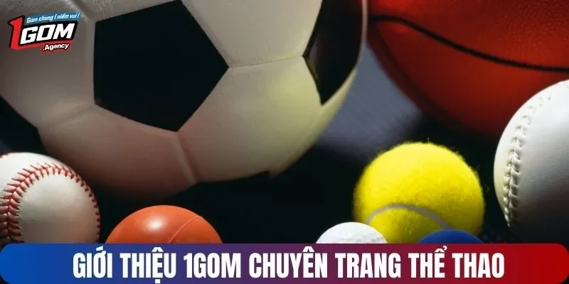 Giới thiệu 1GOM chuyên trang thể thao