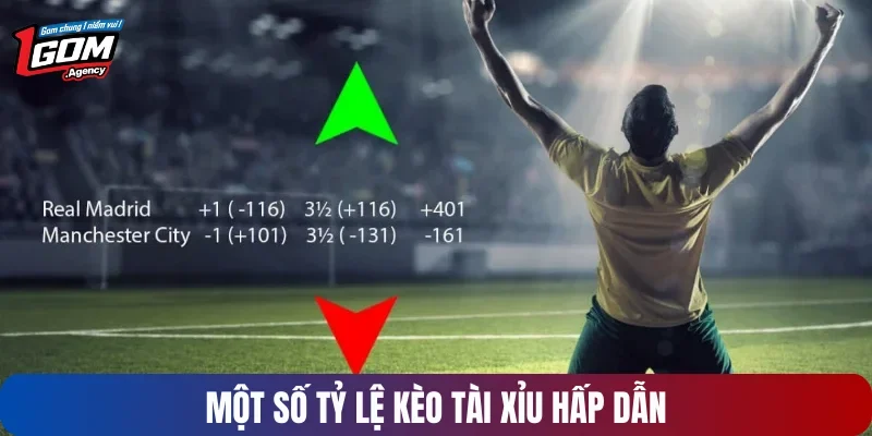 Tìm hiểu về tỷ lệ kèo tài xỉu chi tiết