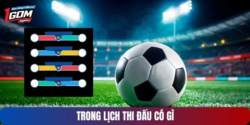 Trong lịch thi đấu có gì?