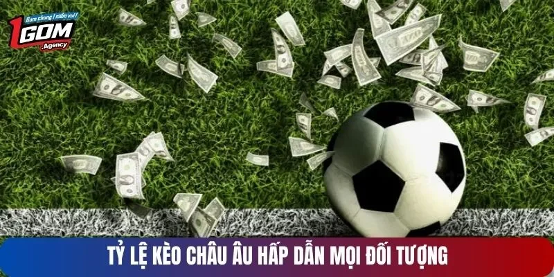 Kèo Châu Âu hấp dẫn mọi đối tượng